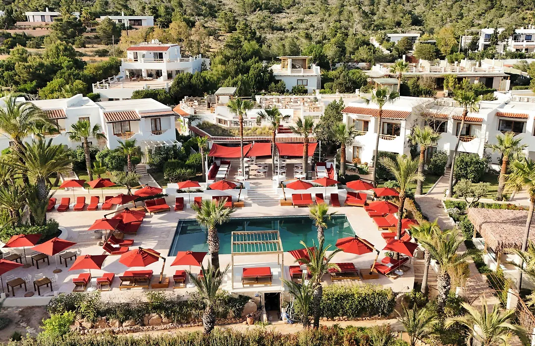 Petunia Ibiza (Adults Only)-1