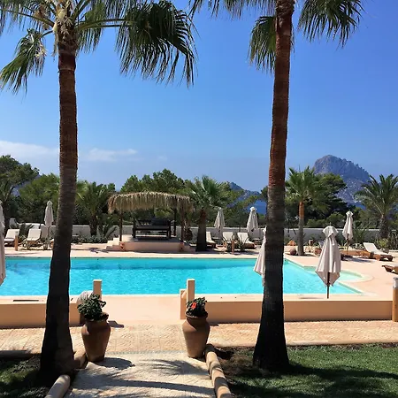 Petunia Ibiza (Adults Only)-3