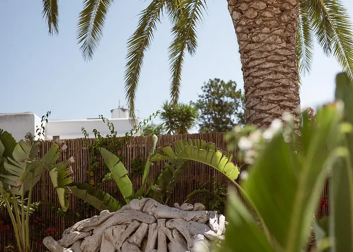 Hotel Galfi - Boutique & Adults Only San Antonio 