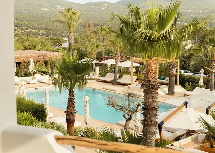Petunia Ibiza (Adults Only)