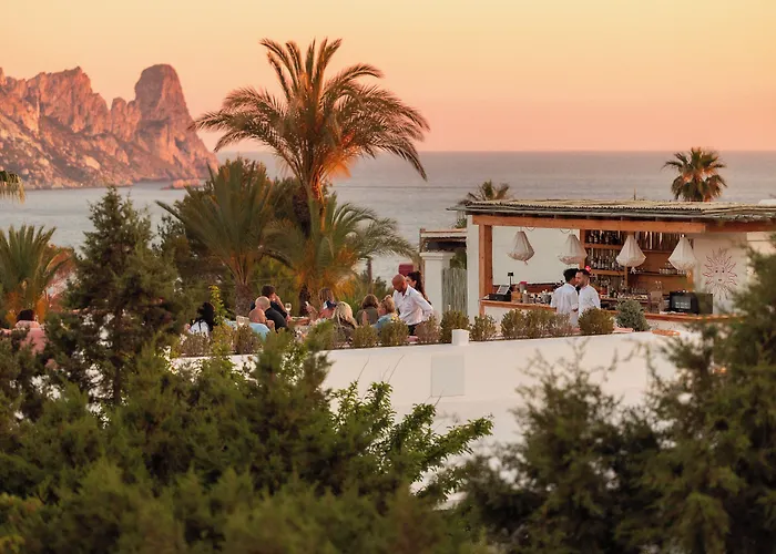 Petunia Ibiza (Adults Only)